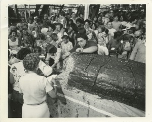 Largest Clark Candy Bar being distributed to guests at Kennywood Park, 1981.